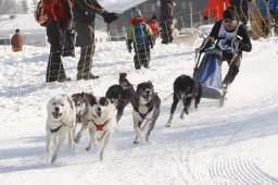 Lenk 2012 SM